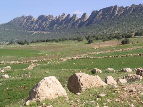 http://hamidgheytasi.persiangig.com/71_0_Picture%20205.JPG